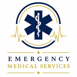EMS 300